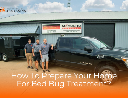 Top Commercial Spaces Vulnerable to Bed Bug Infestations