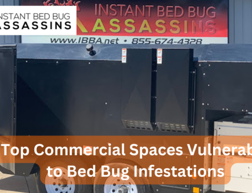 Top Commercial Spaces Vulnerable to Bed Bug Infestations